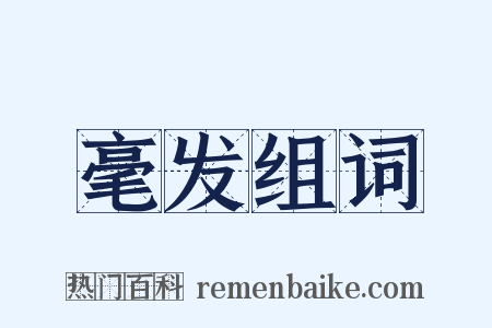 毫发组词是什么意思的图片